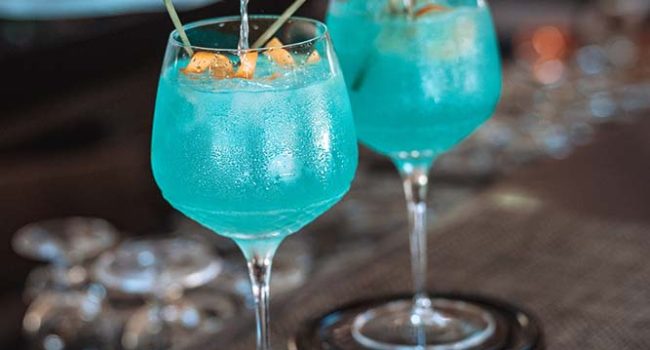 dolphin bar cocktail